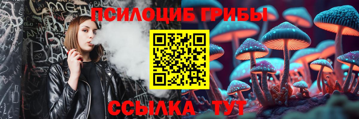 Галлюциногенные грибы мицелий Сочи